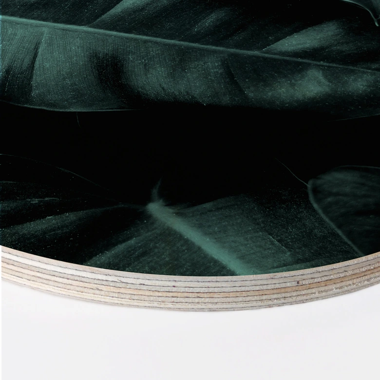 Holzbild Kubistika - Jungle - Rund 