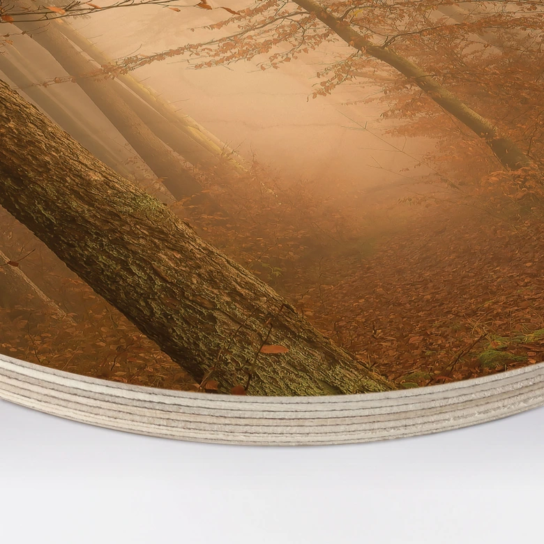 Holzbild Dunst und Licht im herbstlichen Wald - Maier - Rund 