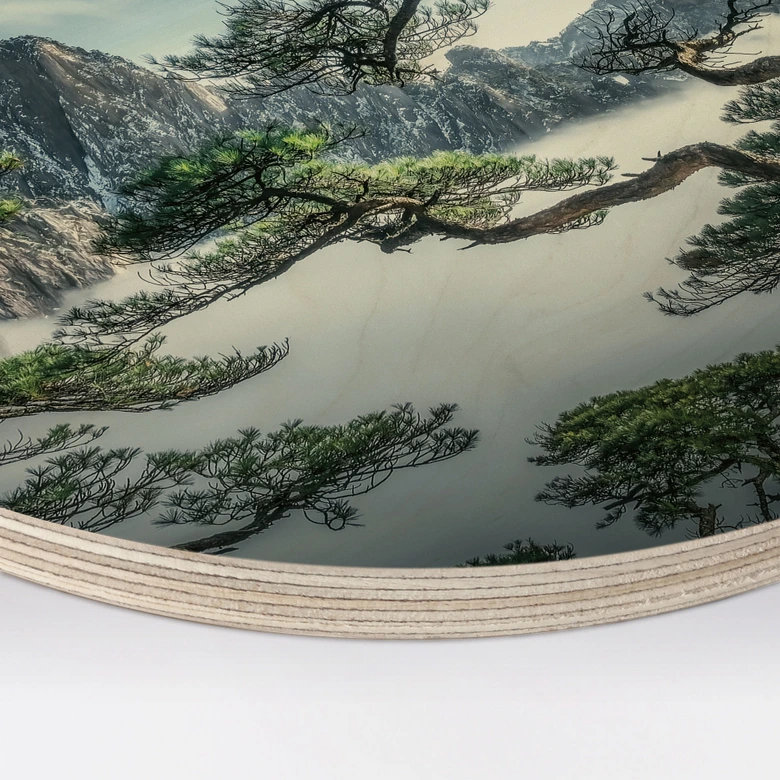 Holzbild Kiefernwald im Huang Shan Gebirge - NingYun Ye - Rund 