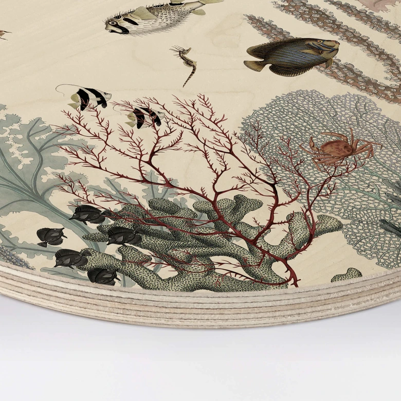 Wandcirkel Hout Sir Edward - Roaring Reef 