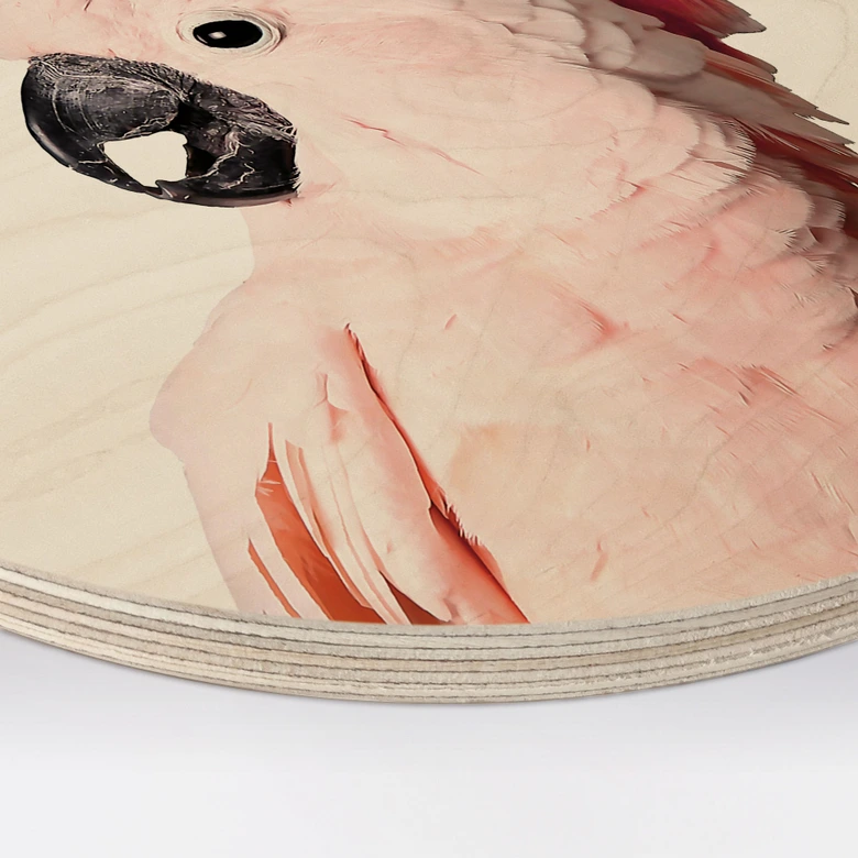 Obraz drewniany Sisi & Seb - Różowy kakadu - Okrągły 