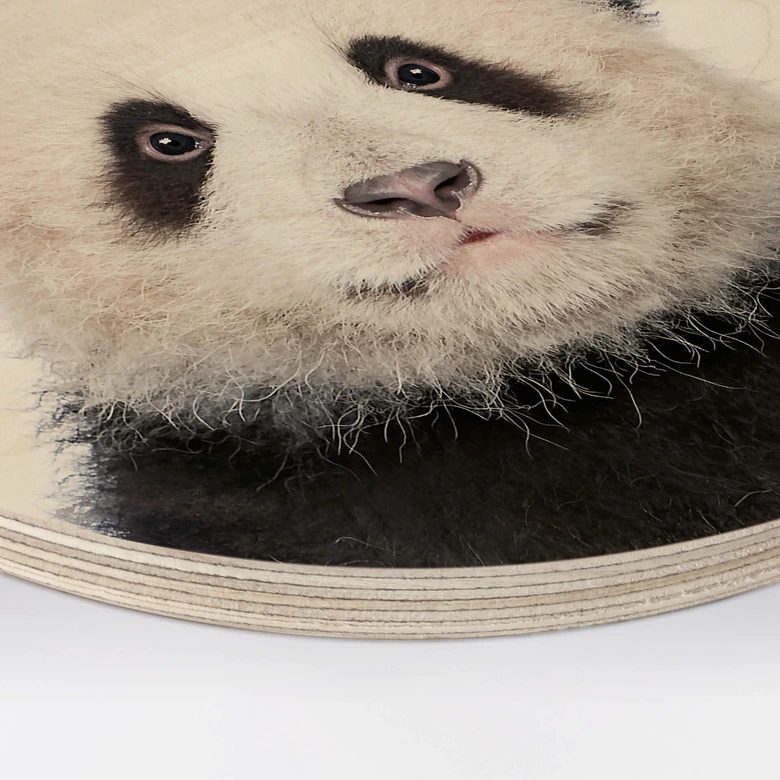 Holzbild Sisi & Seb - Baby Panda - Rund 