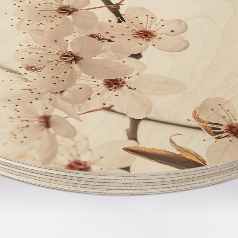 Tableau sur bois Branche avec fleurs de cerisier blanches - Sisi & Seb - Rond 