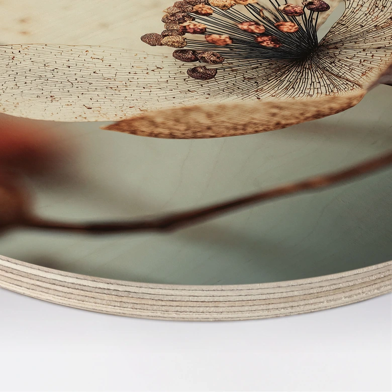 Wood Print Boho dried flower macro - Treechild - Round 