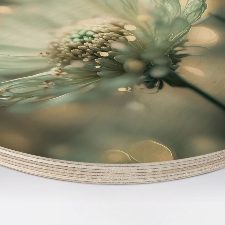 Tableau sur bois Délicat scintillement des fleurs - Treechild - Rond 