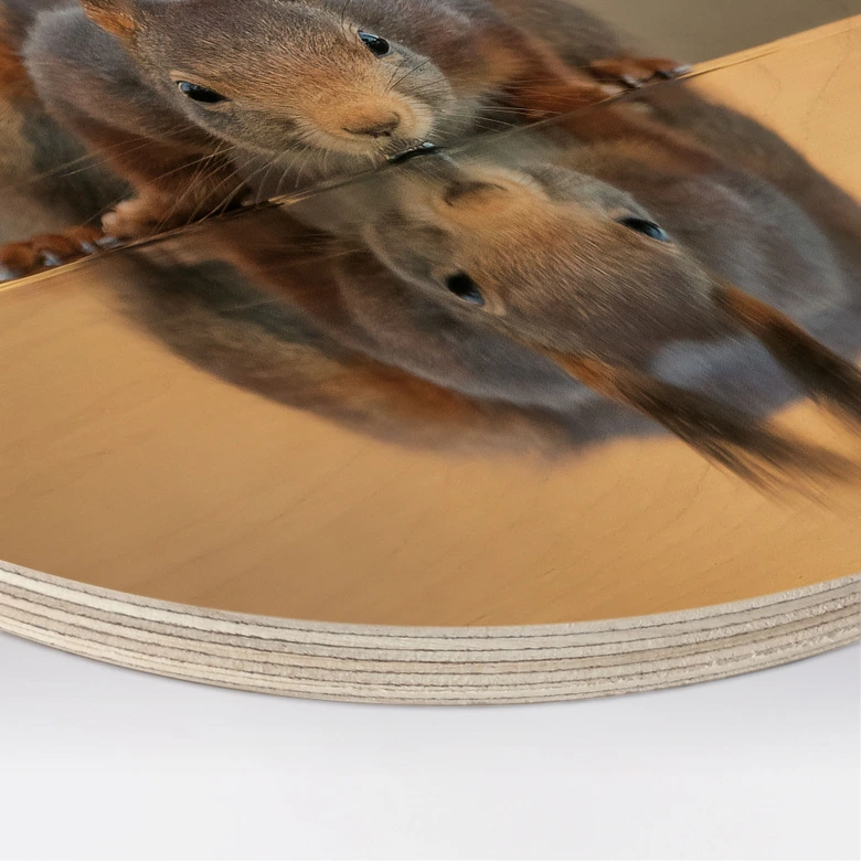 Stampa su legno di scoiattolo vicino all'acqua - van Duijn - Tondo  