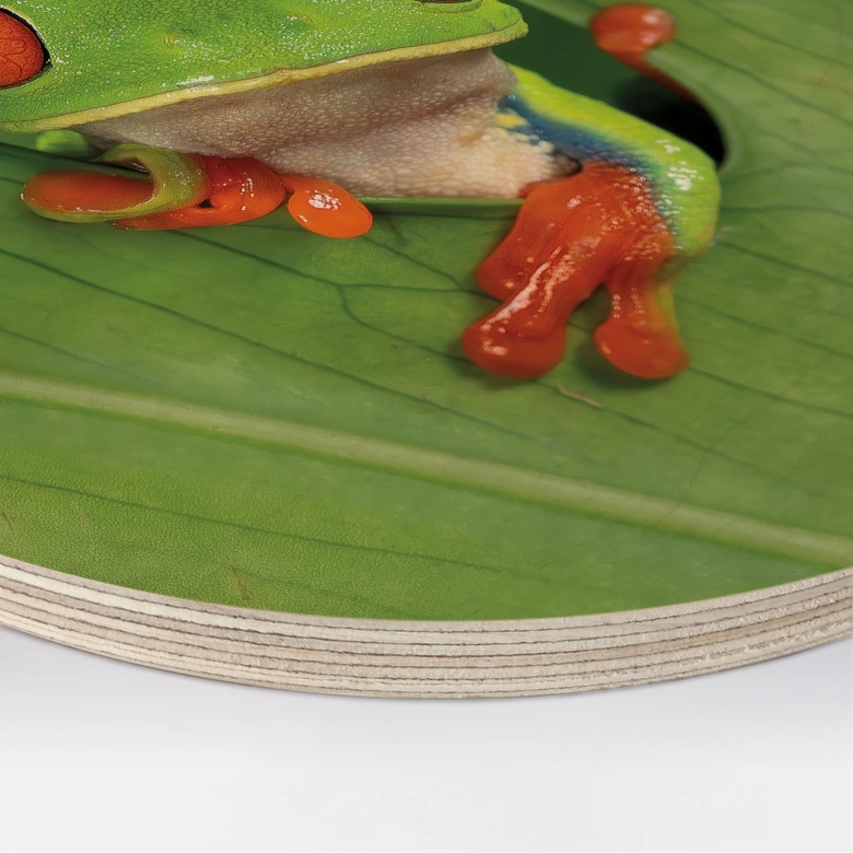 Cuadro de madera rana arborícola en la selva tropical - van Duijn - Redondo  