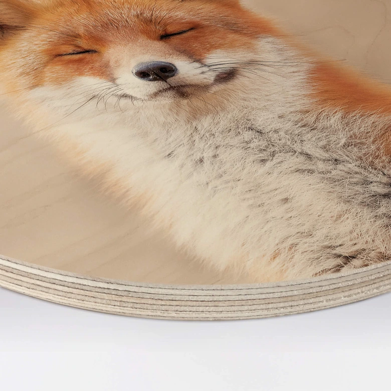 Holzbild van Duijn - Zufriedener Fuchs - Rund 