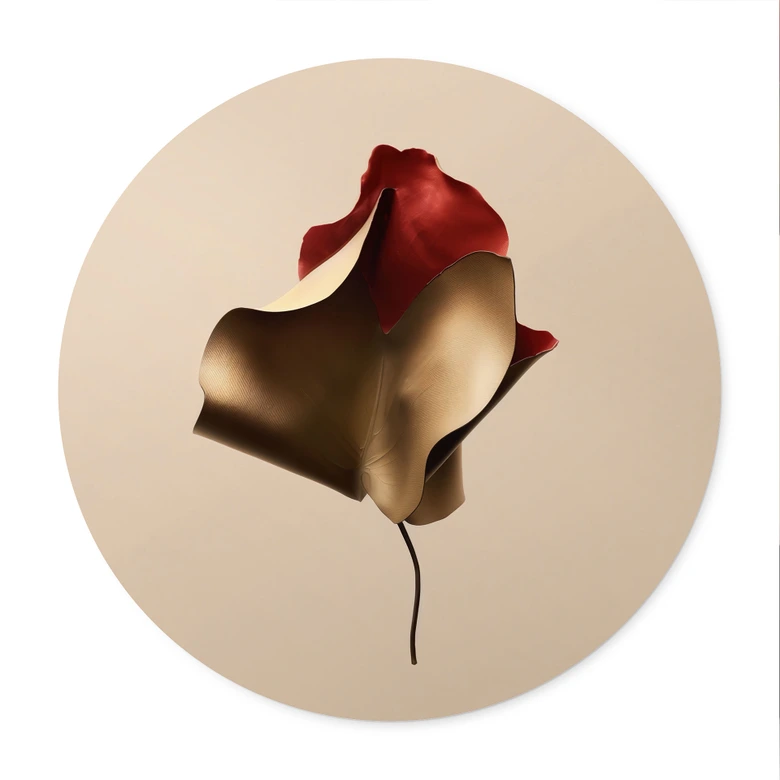 Elegante blad Poster in goud en rood - Alma - Rond 