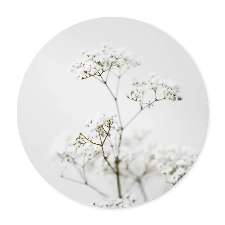 Plakat Annie - Wild Grass 