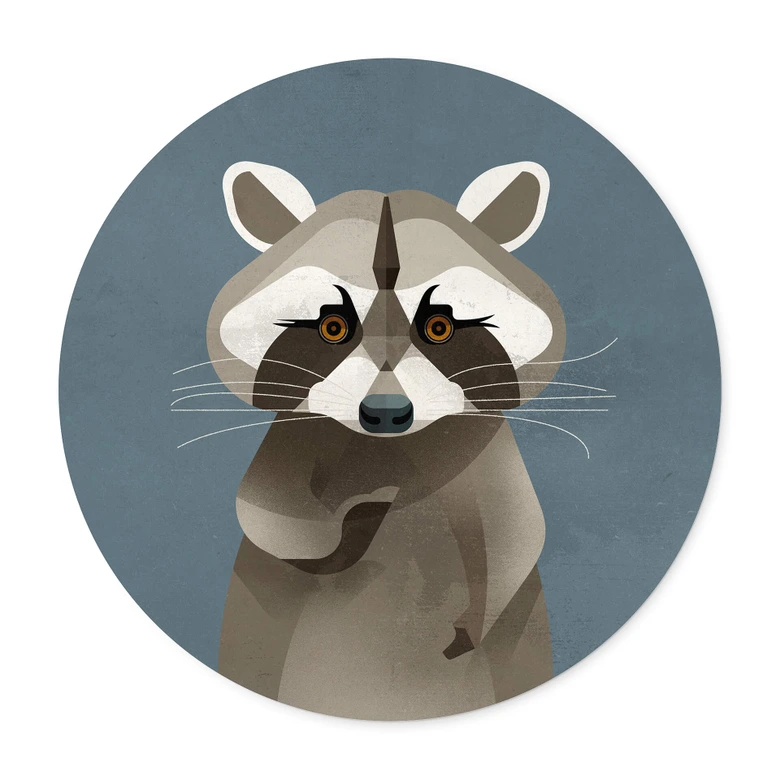 Poster Waschbär - Rund - Braun 