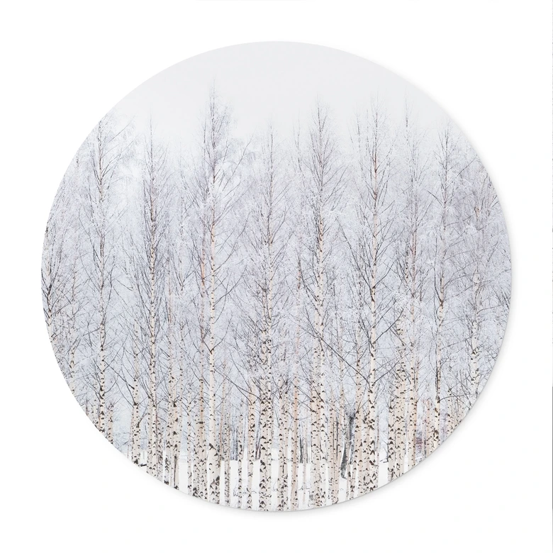 Poster Birkenwald im Winter - EMELIEmaria - Rund 
