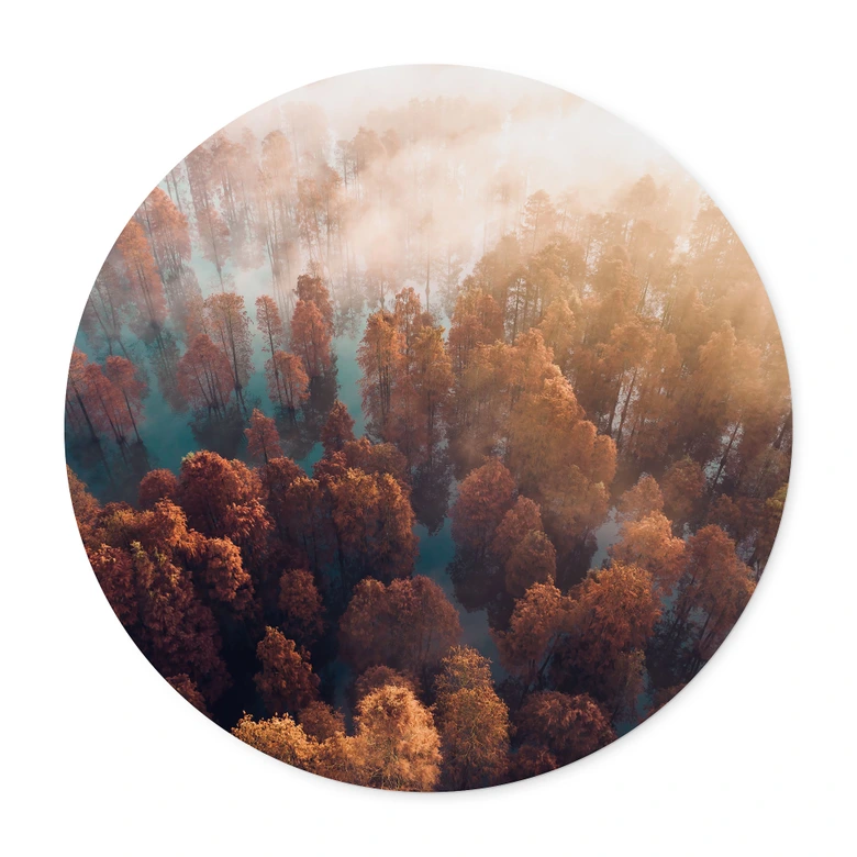 Poster Rund Herbstwald im Nebel - Ioricon - Rund 
