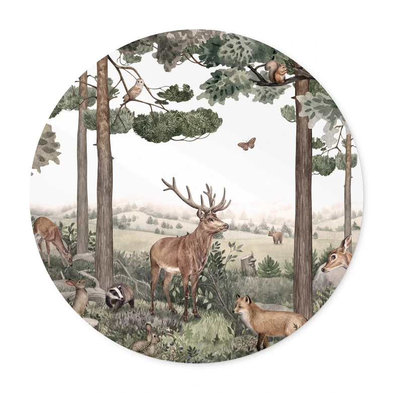 Poster Kikki Belle - Heimische Tiere im Wald - Rund 
