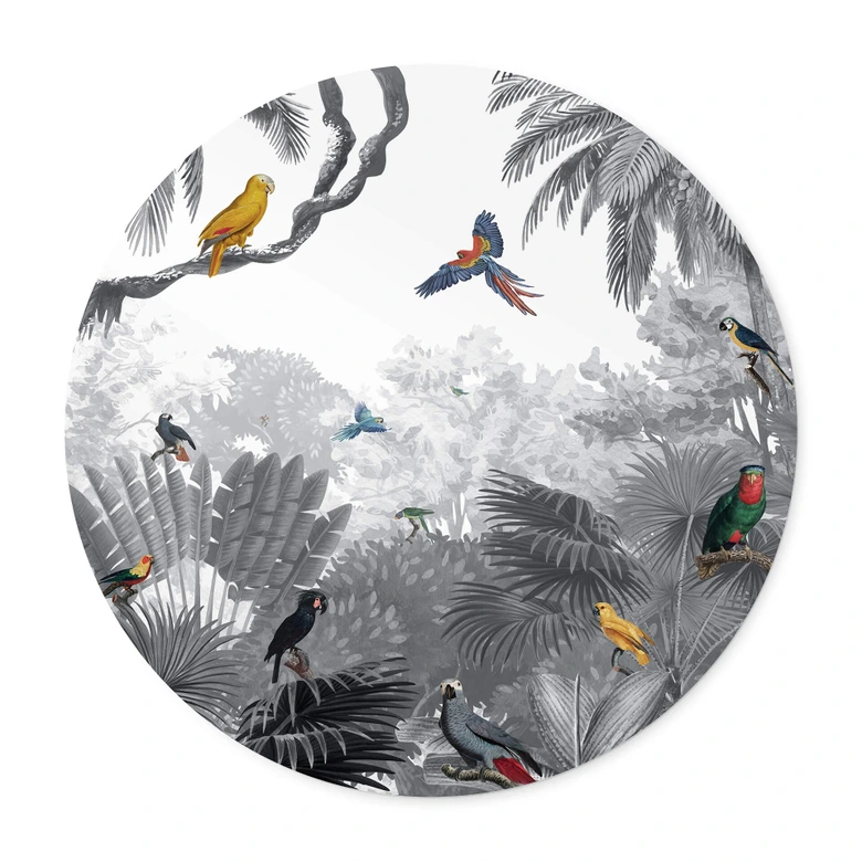 Poster Kikki Belle - Tropische Vogels in het zwart wit 