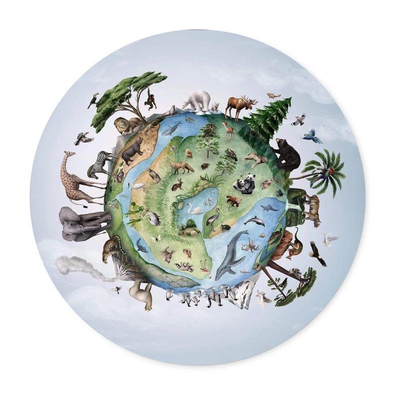 Poster rond Kikki Belle - Animals around the World 
