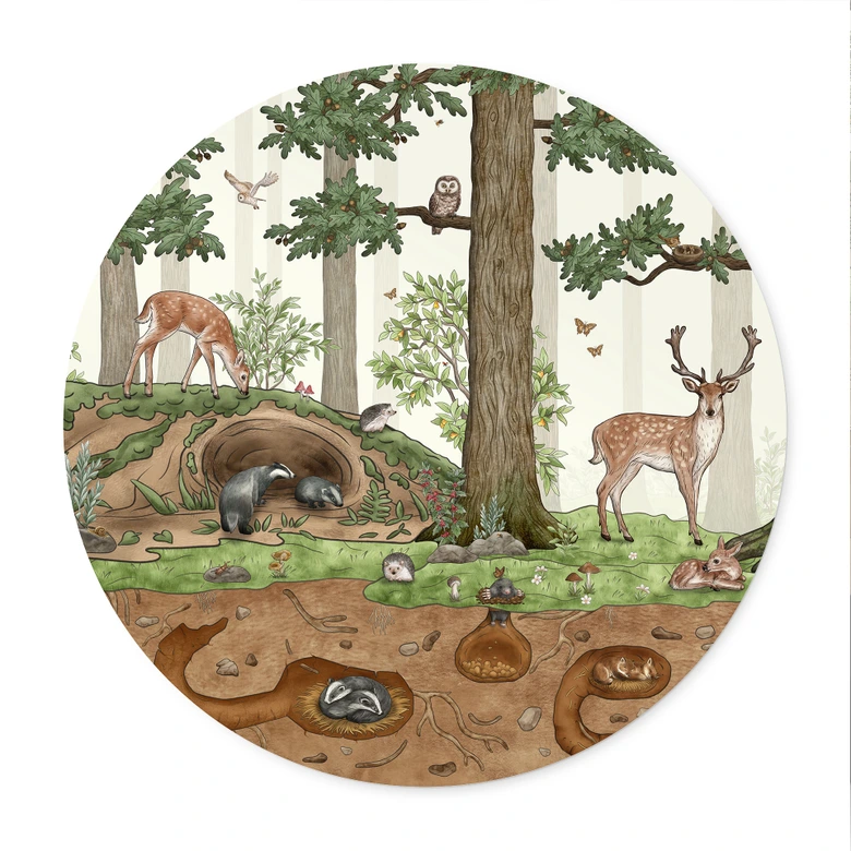 Poster Wimmelbild Waldtiere - Kikki Belle - Rund 