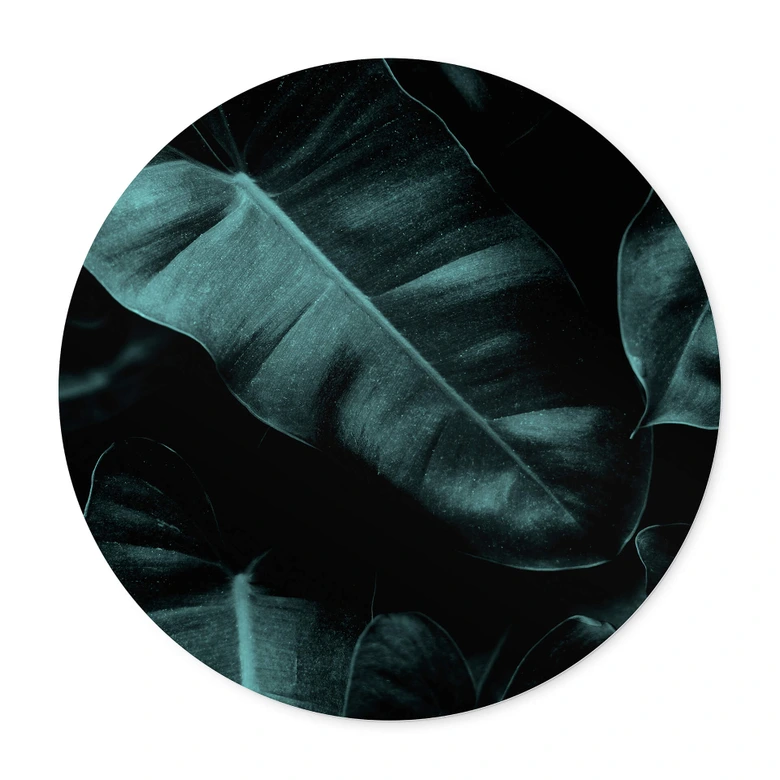 Poster Kubistika - Jungle - Rund 