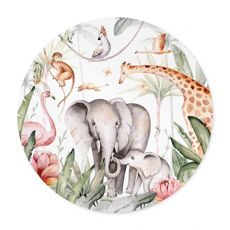 Poster Afrikaanse dieren in het regenwoud - Kvilis 