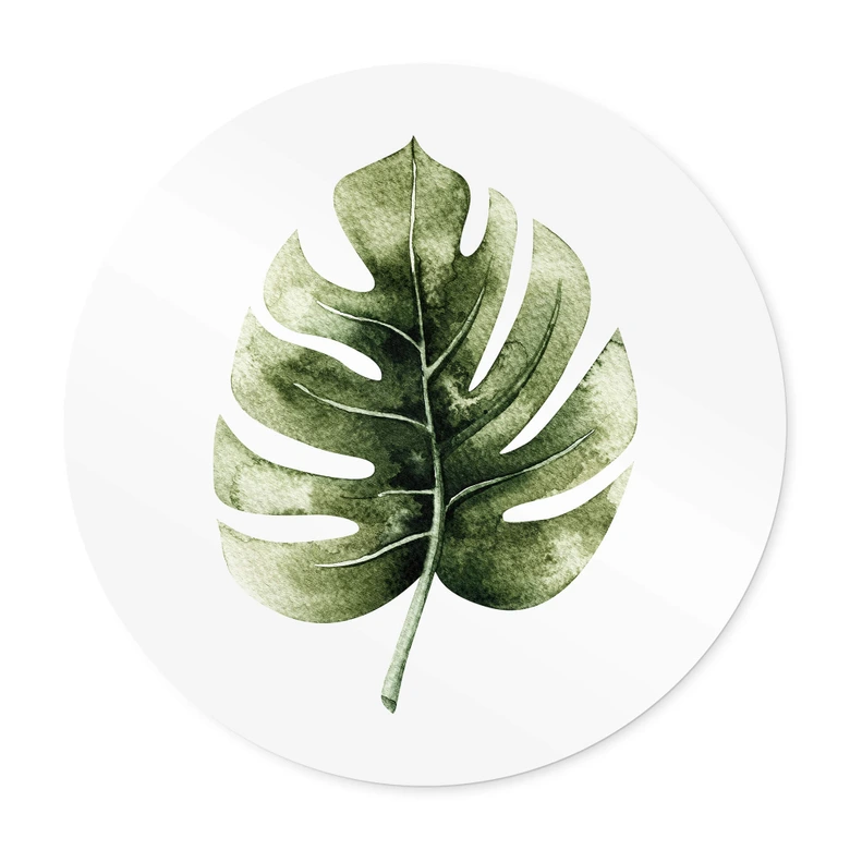 Poster Kvilis - Monstera Leaf - Rund 