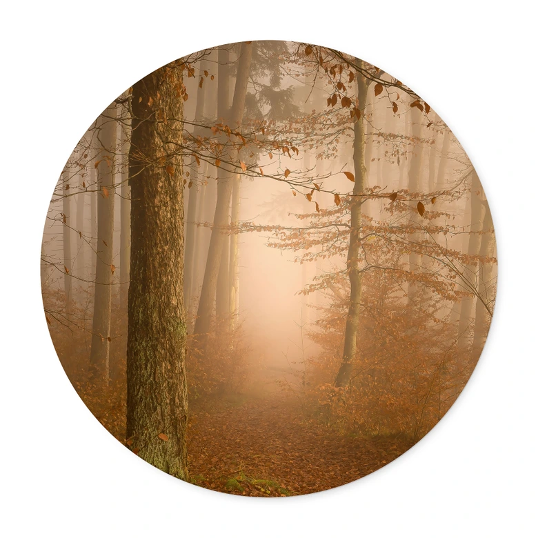 Poster Dunst und Licht im herbstlichen Wald - Maier - Rund 