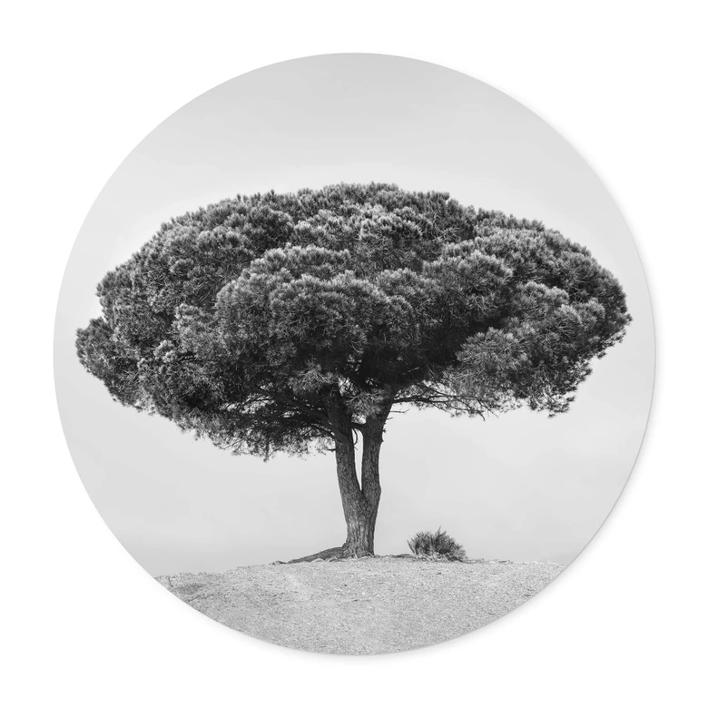 Plakat Martin - Drzewo w czerni i bieli - Okrągły 