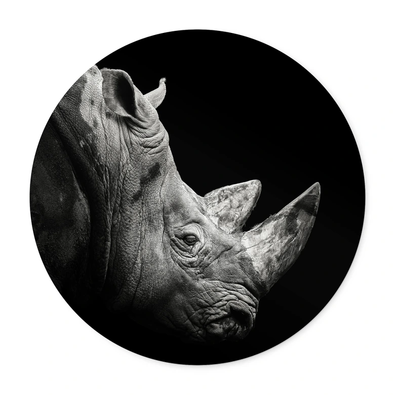 Plakat Meermann - Rhino 