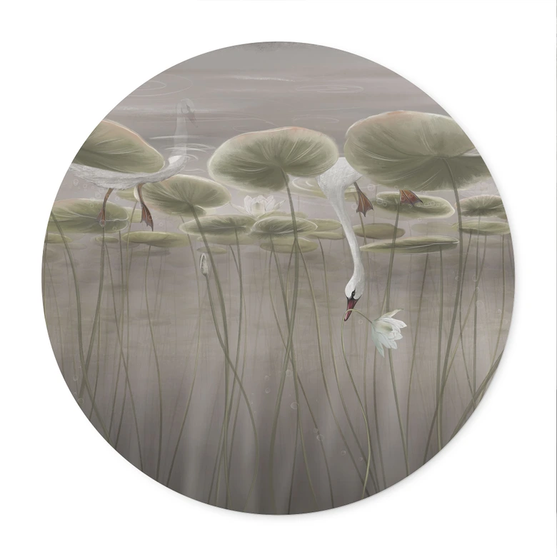 Poster Lotusblumen mit Schwan im Wasser in Grau - Ms Tiff - Rund 