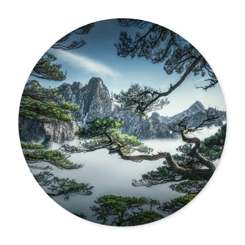 Poster dennenbos in het Huang Shan gebergte - NingYun Ye - Rond 