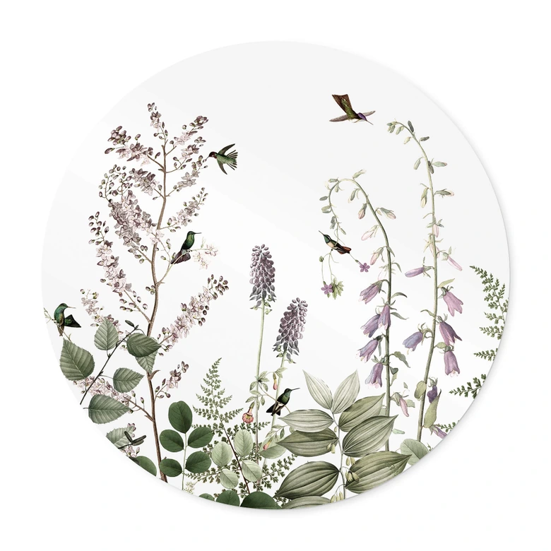 Poster Sir Edward - Kolibris im Garten - Rund 