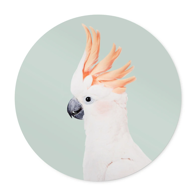 Poster djurporträtt rosa kakadua - Sisi & Seb - Rund 