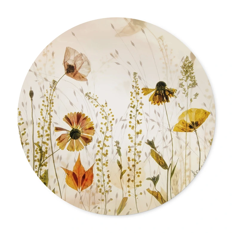 Poster Wilde Wiesenblumen im Sonnenlicht - Talen - Rund 