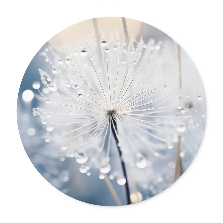 Poster Funkelnde Pusteblumen - Treechild - Rund 