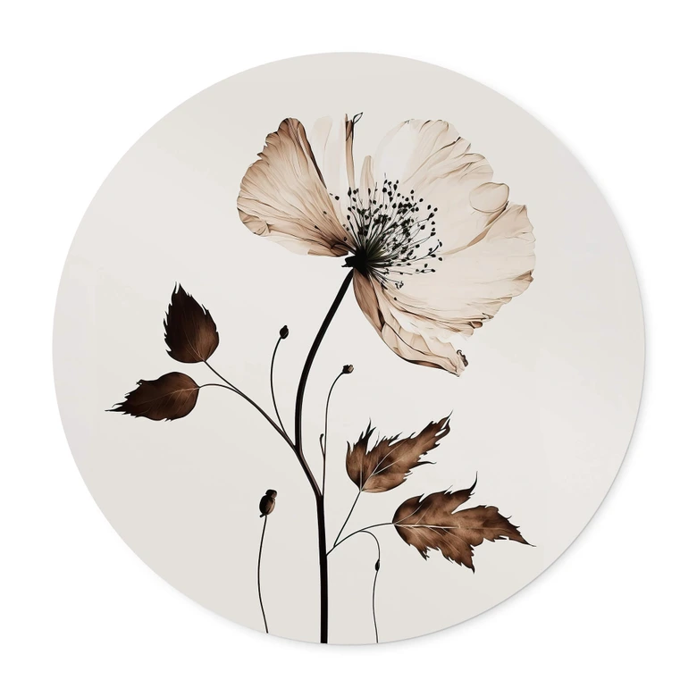 Poster Trockenblüte in Creme - Rund - Treechild 