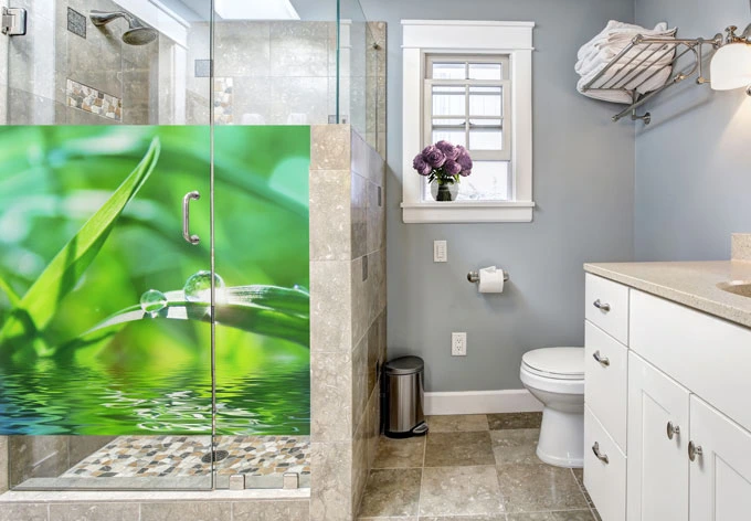 Window foil Nature 06 