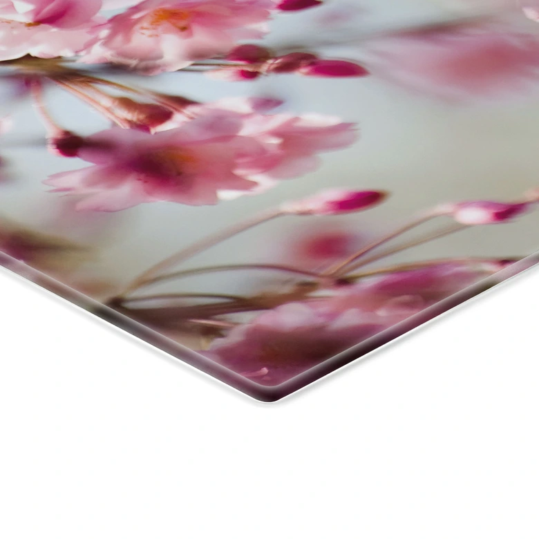 Spritzschutz Cherry Blossoms 