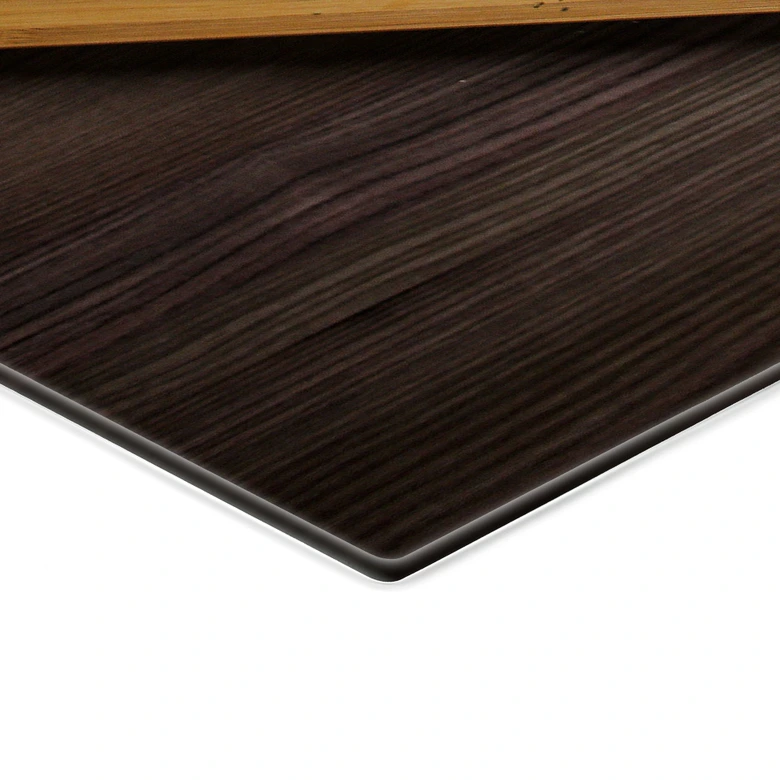 Spritzschutz Frischer Lachs 