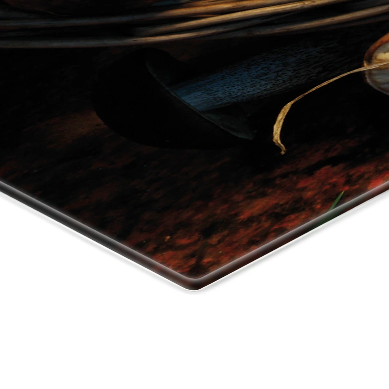 Spritzschutz Pilzkorb 