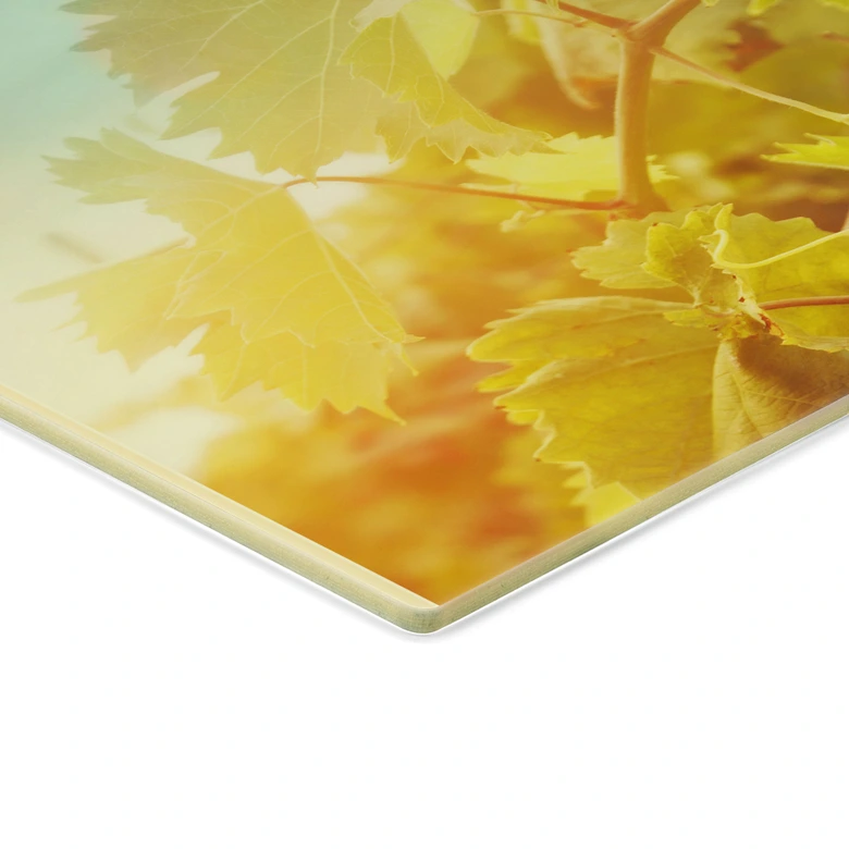 Spatscherm Wijn Collage 