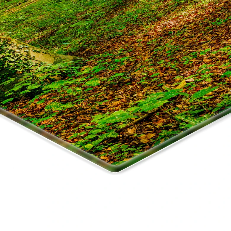 Spatscherm Diep in het Bos 