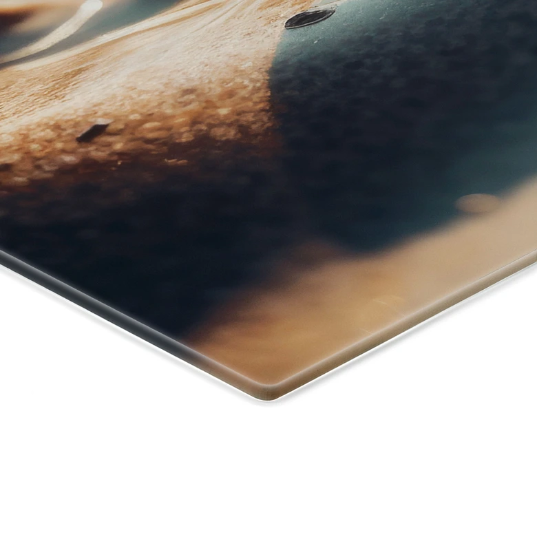 Spritzschutz Muscheln am sonnigen Strand - Treechild - Panorama 