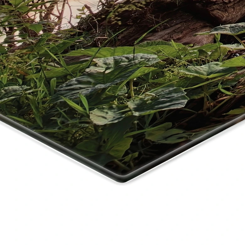 Pannello paraschizzi Vista lago - Keller 