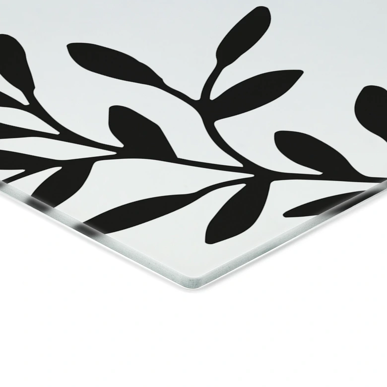 Spritzschutz Botanik mit Wunschtext - Transparent 