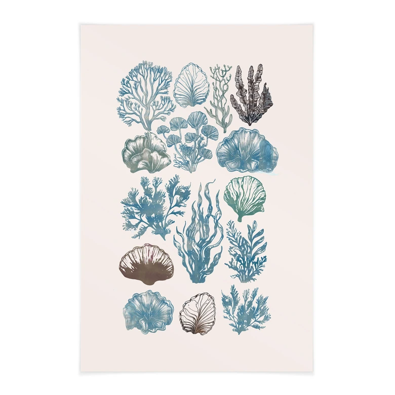Stoffbild Filigrane Algen und Muscheln - casa cartissi 