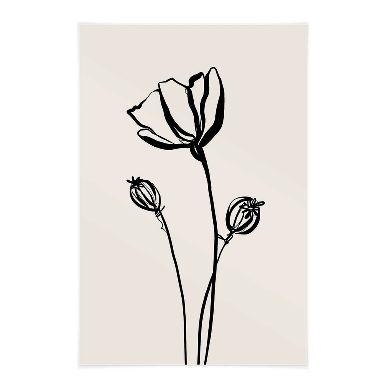 Stoffbild Line Art Mohnblume - Cats & Dotz 