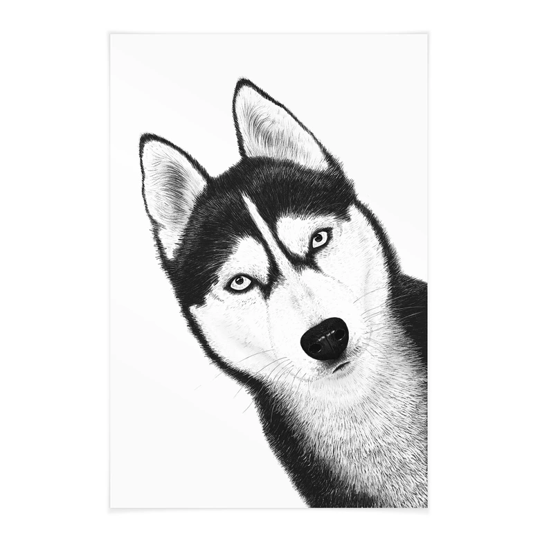 Stoffbild Sibirischer Husky - Hundeporträt - Korenkova 