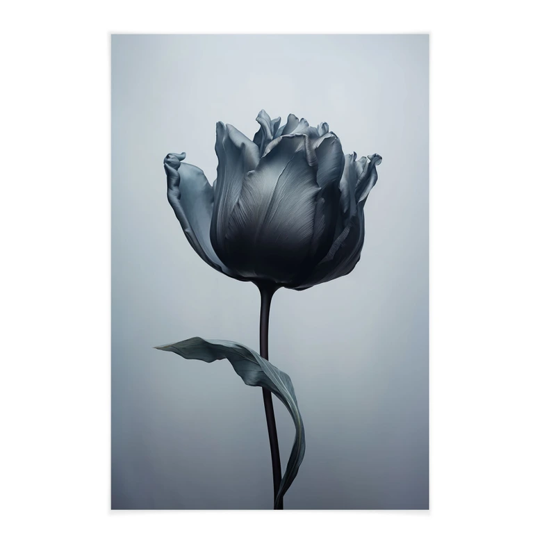 Stoffbild Samtige Tulpe in Schwarz - Paksoylu 