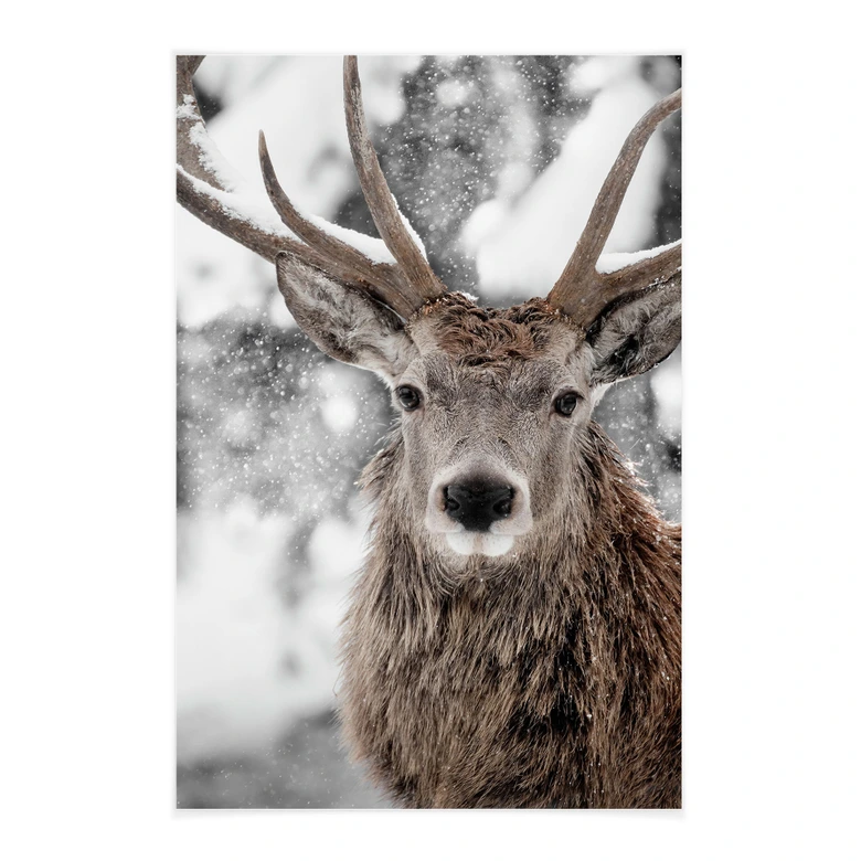 Stoffbild Hirsch im Schneegestöber | Hirschmotiv für das Wohnzimmer - Strigel 