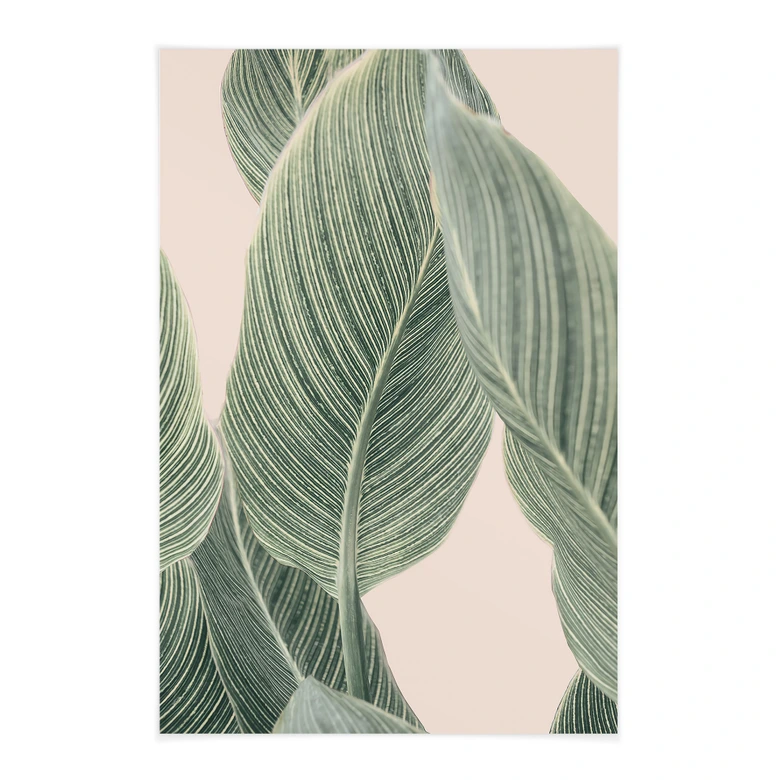 Obraz tkaniny rośliny kalatei - Sisi & Seb 