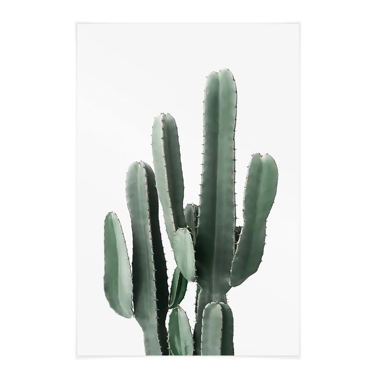 Póster de tela planta de cactus - Sisi & Seb 